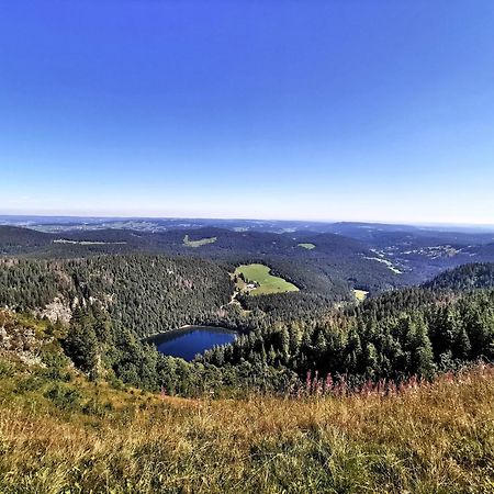 Apartamento Residenz Grafenmatt "Abendsonne" Feldberg  Exterior foto